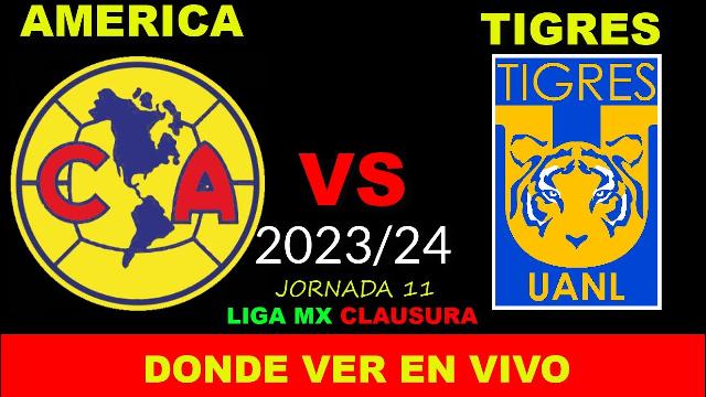 Noticia