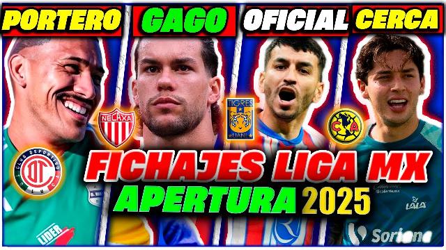 Noticia